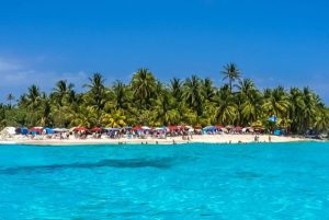 xr:d:DAFT6NQV68Q:5,j:43198773321,t:22120517